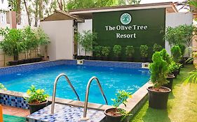 Olive Tree Resort, Lonavala
